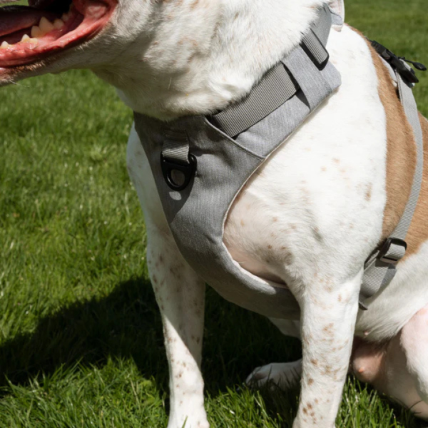 Magnetic Dog Harness - Image 5