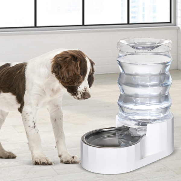 Automatic Pet Water Dispenser - Image 5